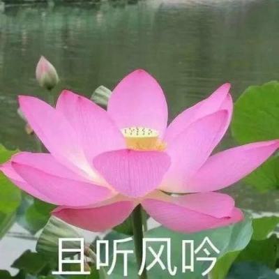 ​全国田径冠军赛：冯彬、吴艳妮夺冠山东队刷新全国纪录